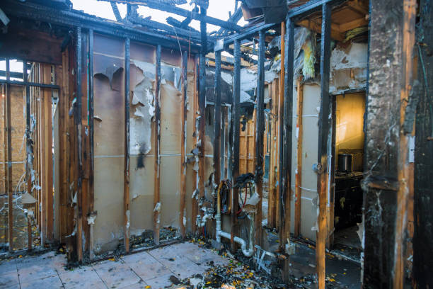 Professional Fire Damage Repair technician working in Wakefield, NE